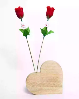 Valentine's Day Gift