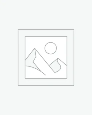 Fashion & Accessories